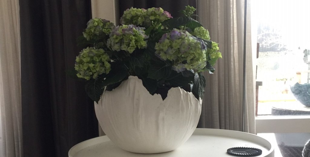 bolvaas wit met hortensia